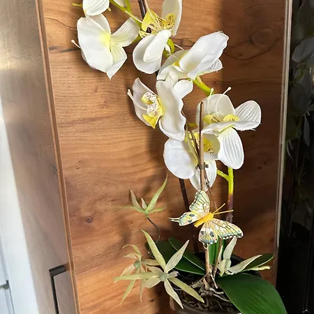 Alex شقة فيليكو ترنوفو