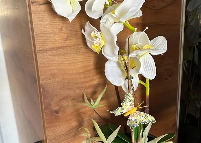 Alex Apartment Veliko Tarnovo